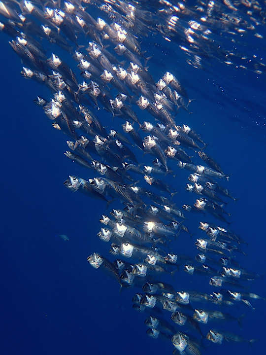 Sport & Freizeit Utopia Beach Club