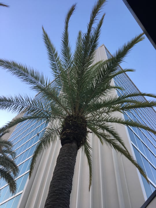 Sonstiges Doubletree Hotel at the Entrance to Universal Orlando