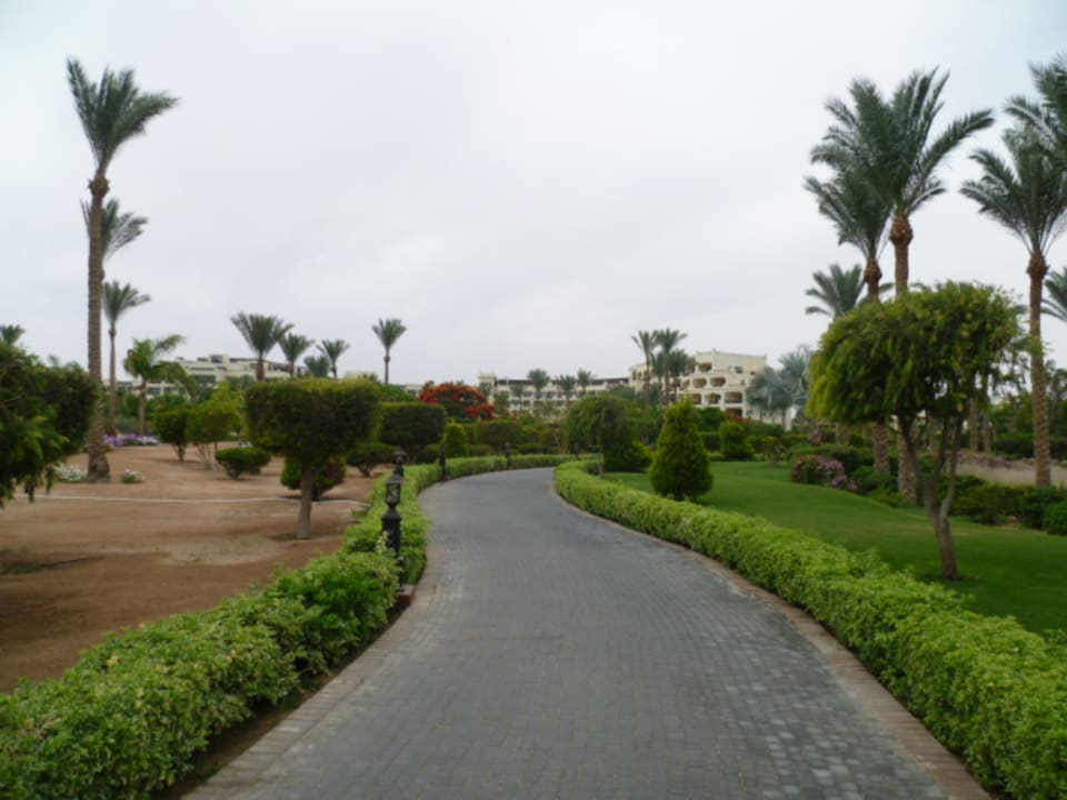 Gartenanlage Steigenberger ALDAU Beach Hotel