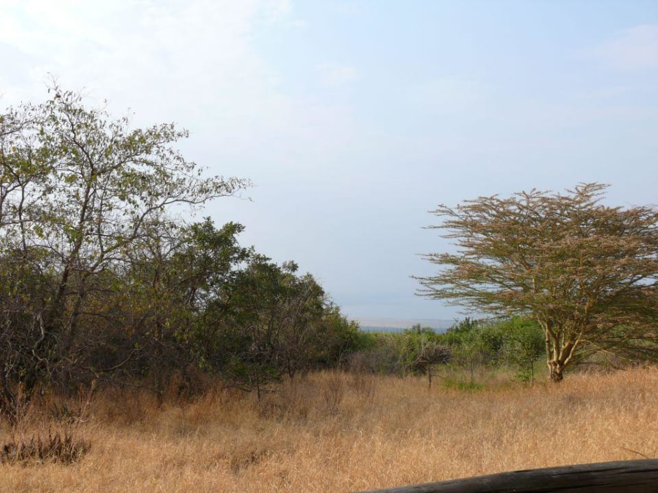 Blick in die Weite Hotel Kirurumu Luxury Tented Lodge
