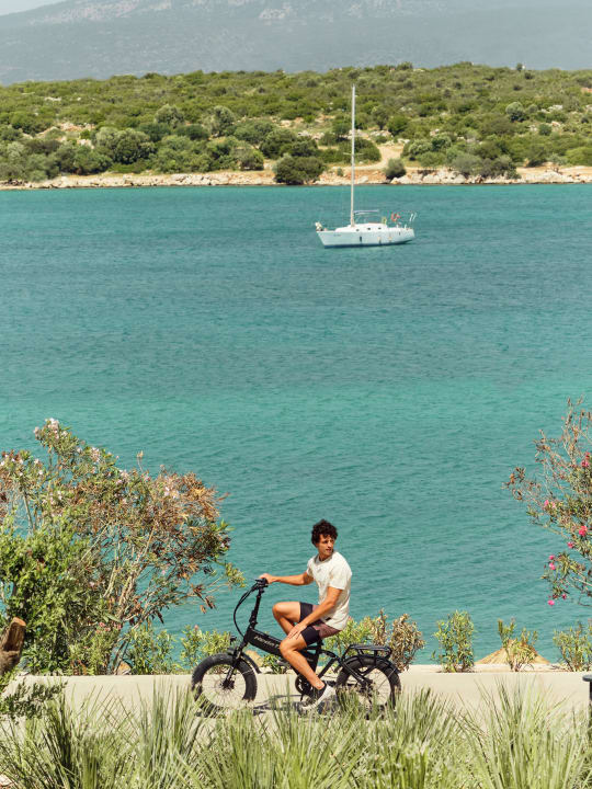 Gartenanlage Anda Barut Collection