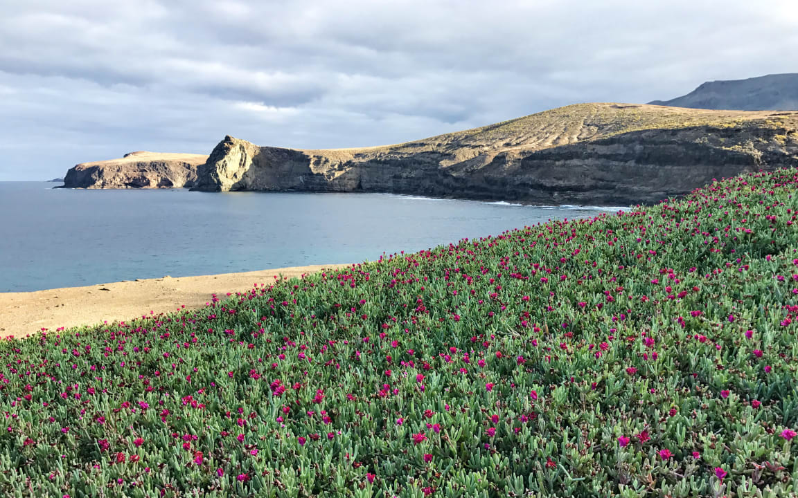 Ausblick Occidental Roca Negra