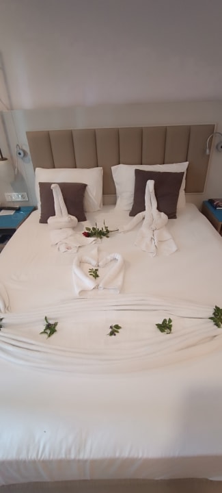 Zimmer Seher Kumköy Star Resort & Spa