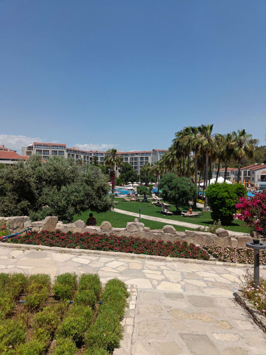Gartenanalge Arum Barut Collection