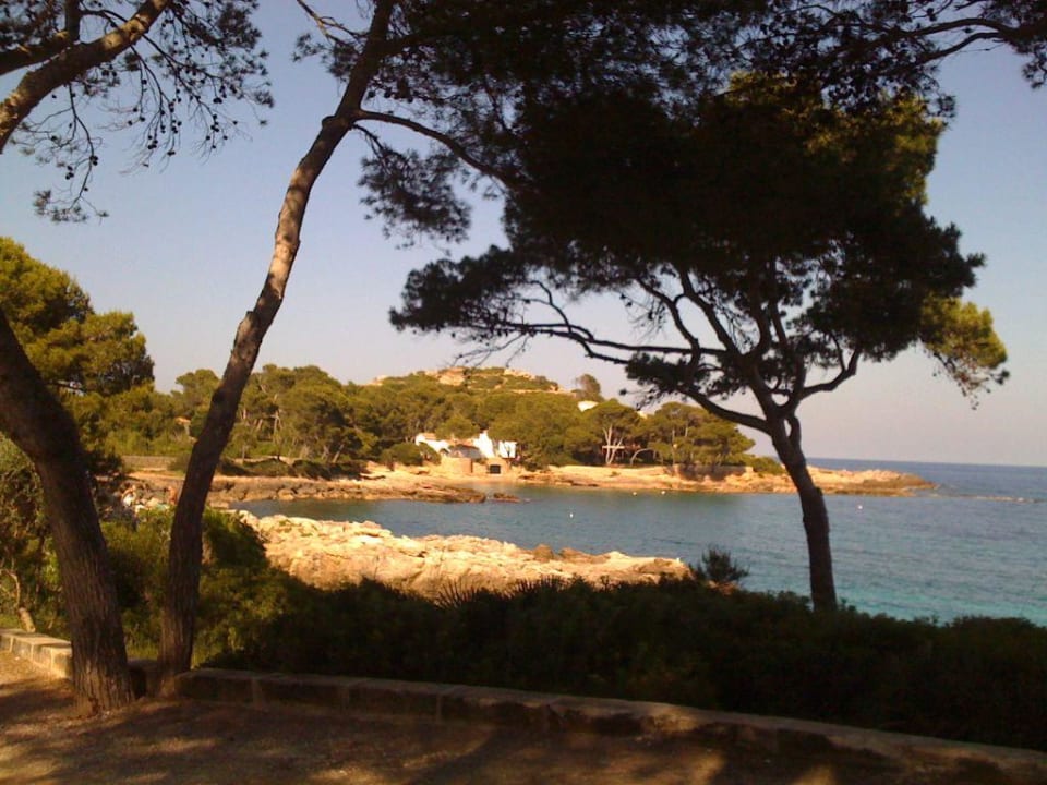 Blick auf Bucht Iberostar Waves Pinos Park