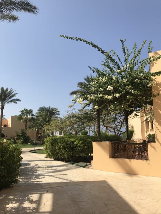 Sonstiges Steigenberger Coraya Beach - Adults only