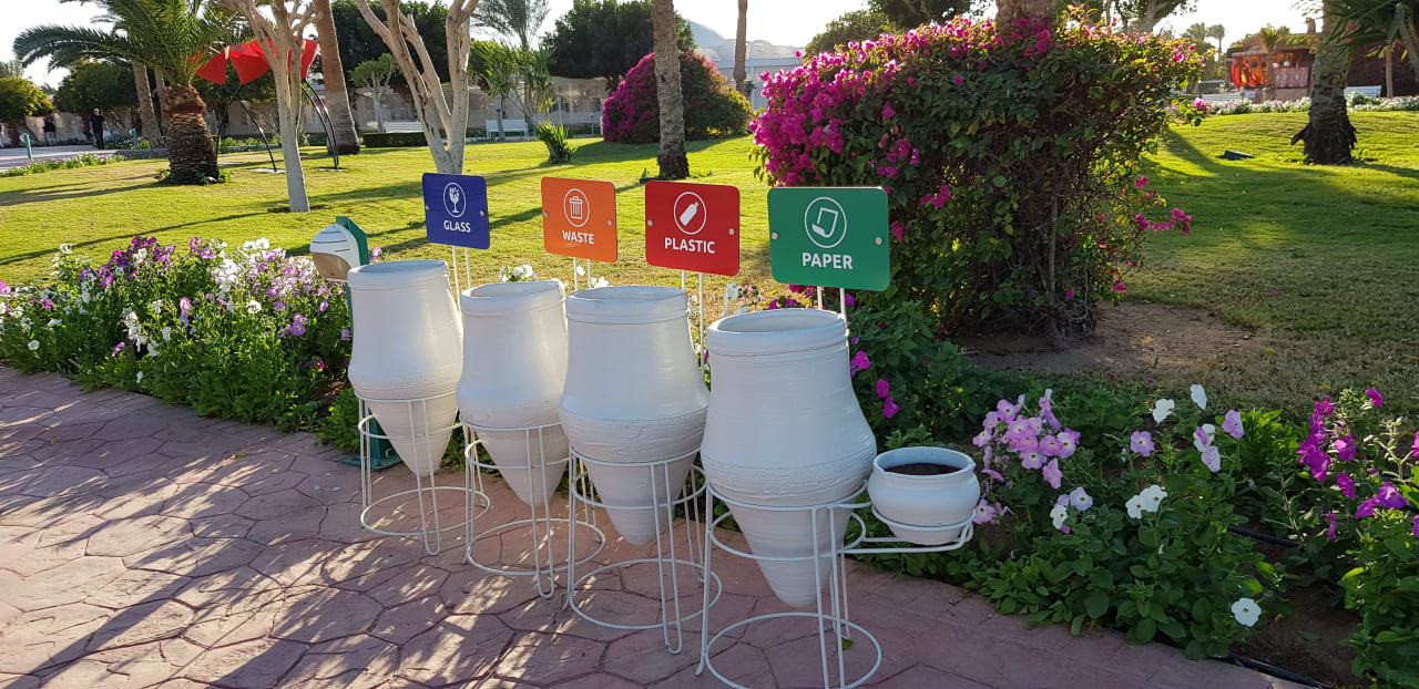 Gartenanlage Desert Rose