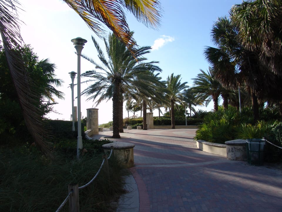 Beachwalk Royal Palm South Beach Miami, a Tribute Portfolio Resort