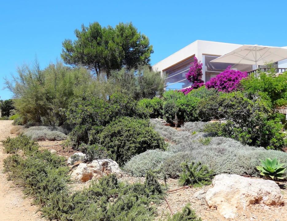Gartenanlage zwischen Neubau und Hauptrestaurant Hotel Menorca Binibeca (Adults Only) by Pierre & Vacances Premium