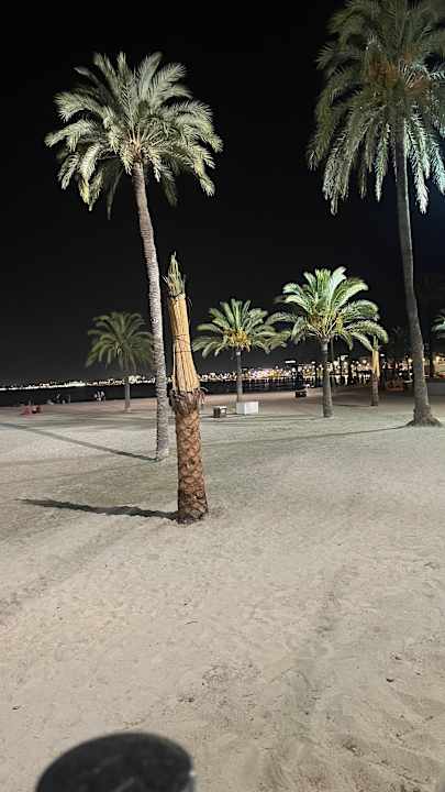 Ausblick allsun Hotel Marena Beach