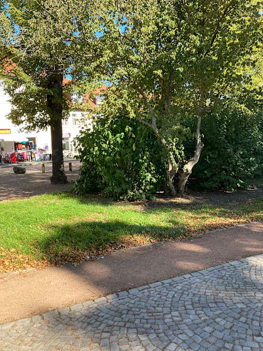 Gartenanlage Best Western Parkhotel Brehna - Halle