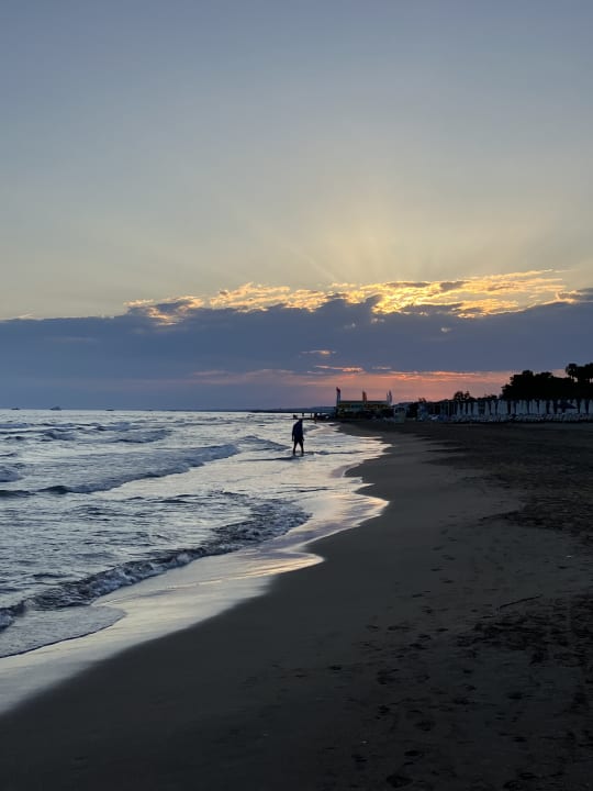 Strand Paloma Oceana
