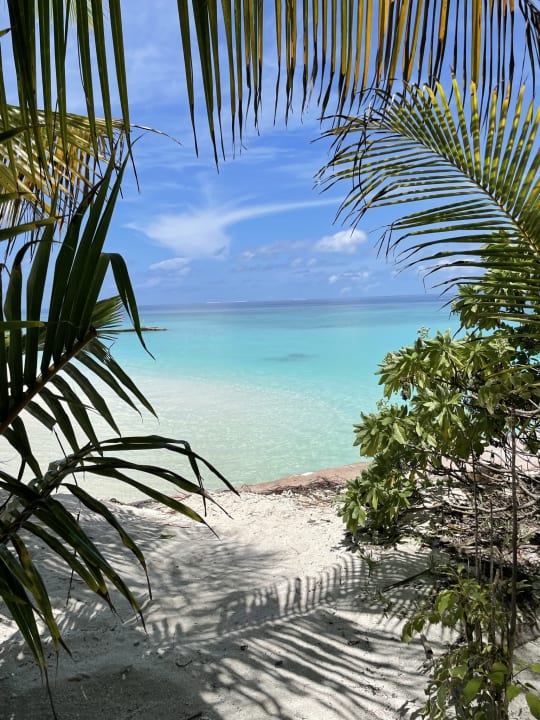 Strand Adaaran Select Meedhupparu Island Resort - Premium All Inclusive