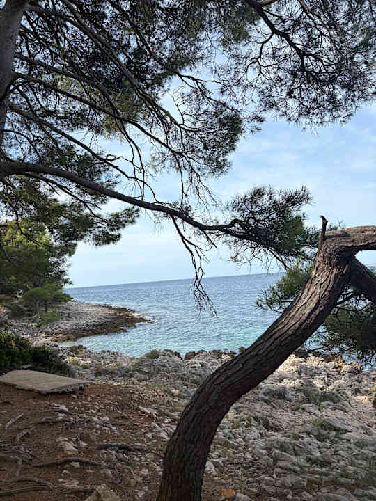 Gartenanlage Studio Lorena