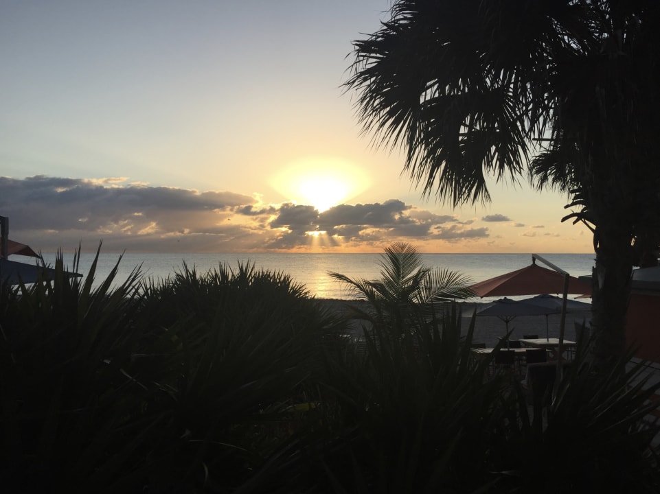 Ausblick Hotel Sole On The Ocean