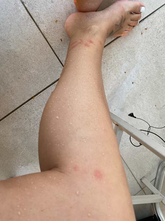 Zimmer Jaz Makadi Oasis Resort