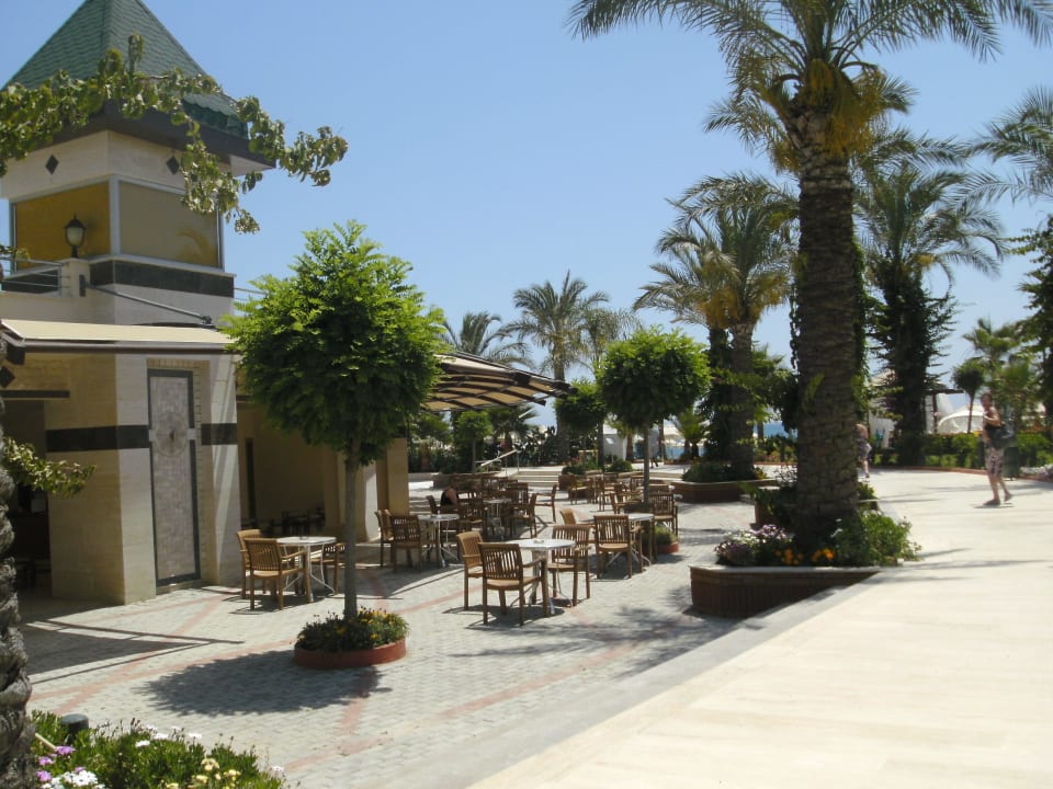 Beachbar Saphir Resort & Spa