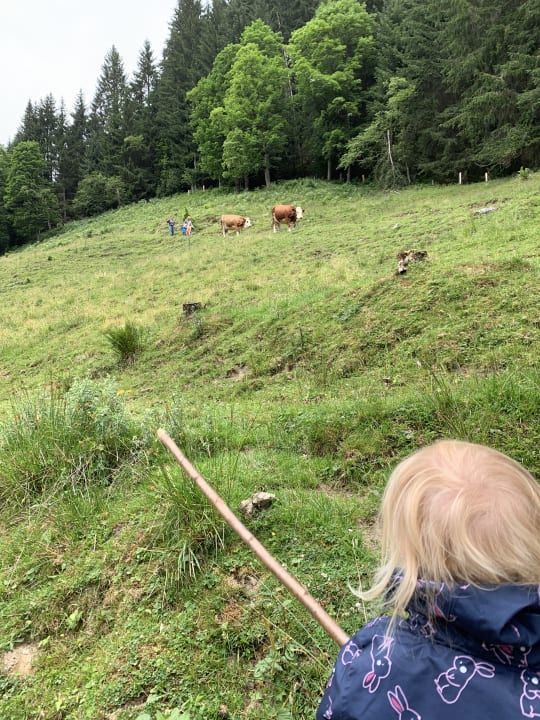 Sonstiges Bauernhof Paußhof
