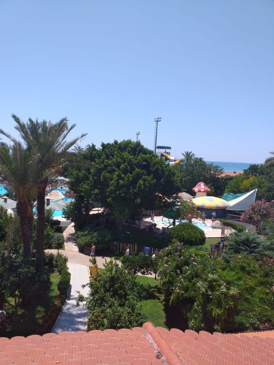 Pool Belconti Resort Hotel
