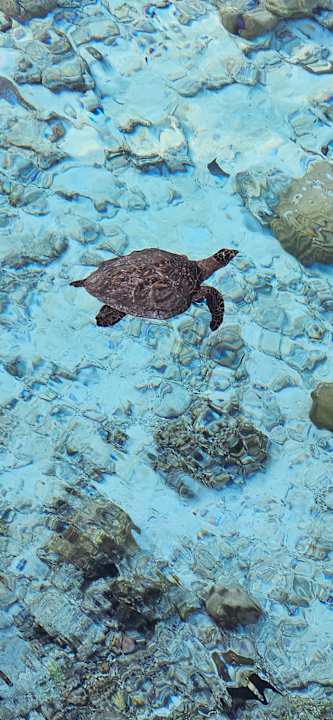 Sonstiges Adaaran Select Meedhupparu Island Resort - Premium All Inclusive