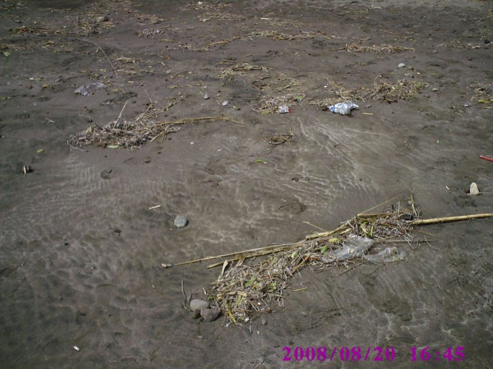 Tolle Strand, oder? Hotel Europalace