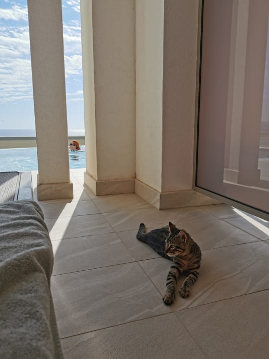 Zimmer Mayia Exclusive Resort & Spa