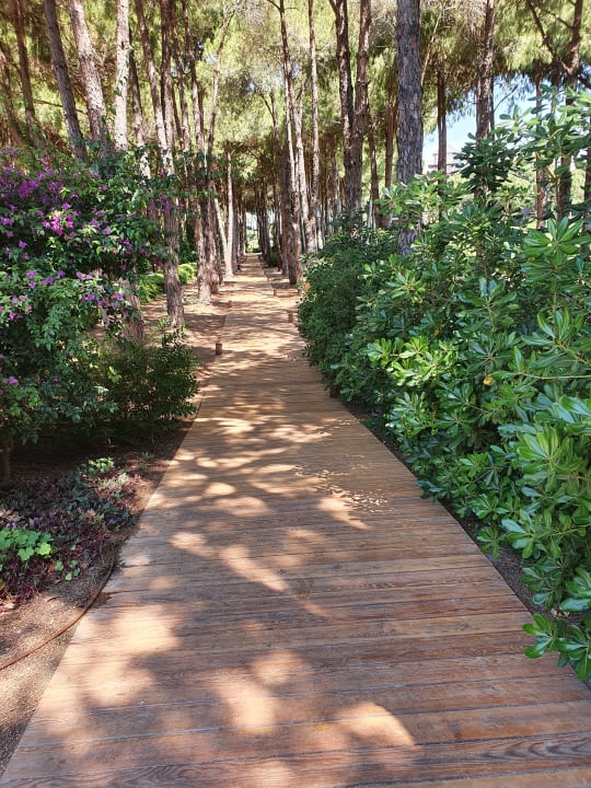 Sport & Freizeit Maxx Royal Belek Golf Resort