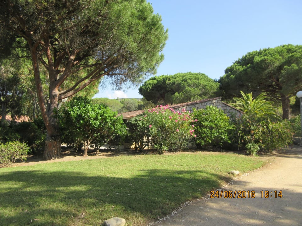 Eine gepflegte Grünoase Feriendorf Zum Störrischen Esel