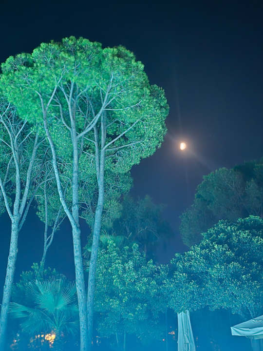 Pool Ali Bey Resort Sorgun