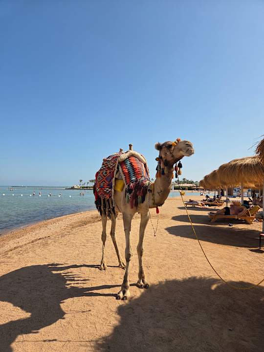 Strand Golden Beach Resort