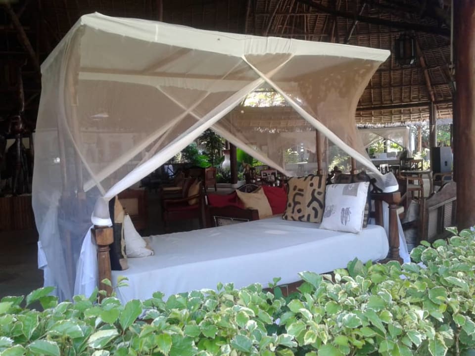 Chillout Hotel Kiwengwa Beach Resort