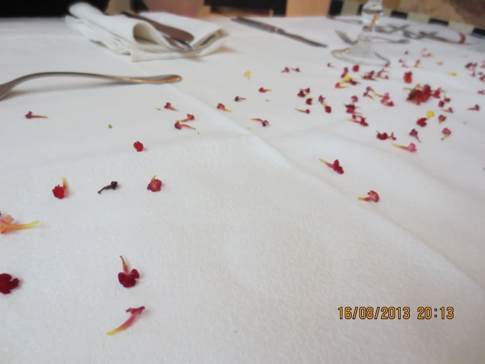 Tich Medina Solaria & Thalasso