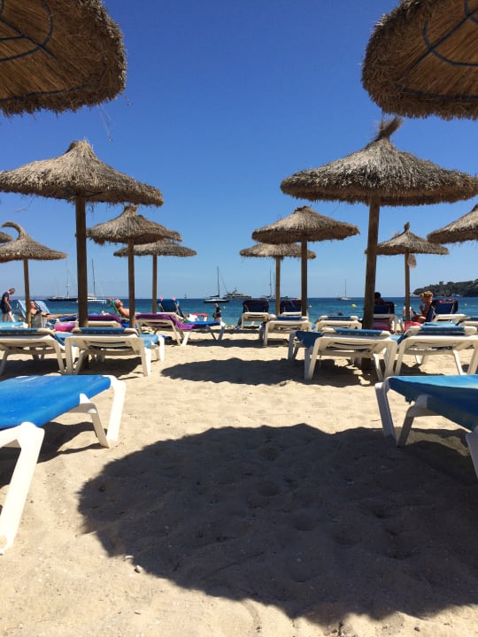 Strand FERGUS Style Palmanova