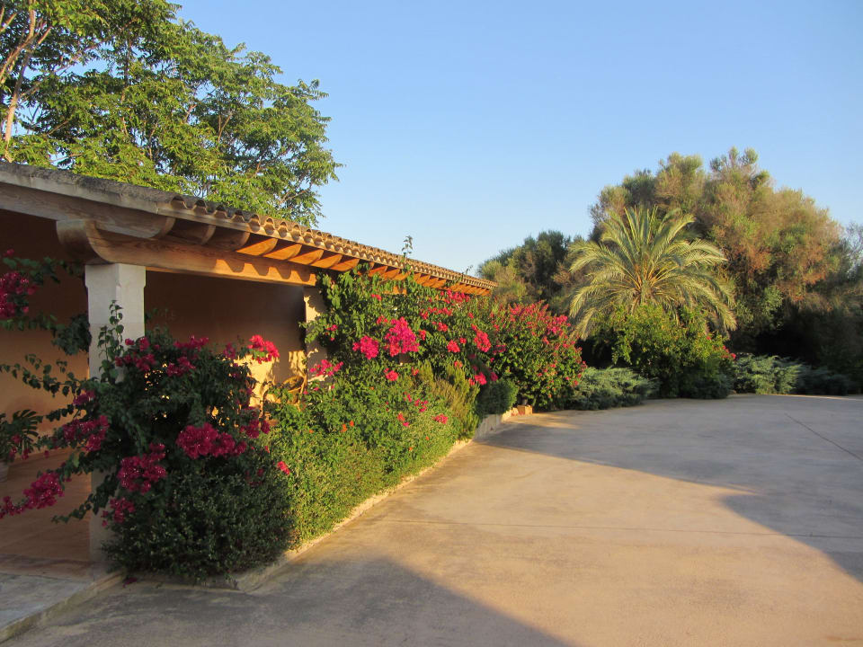 Da stehen z.B. die Fahrräder Finca Son Roig