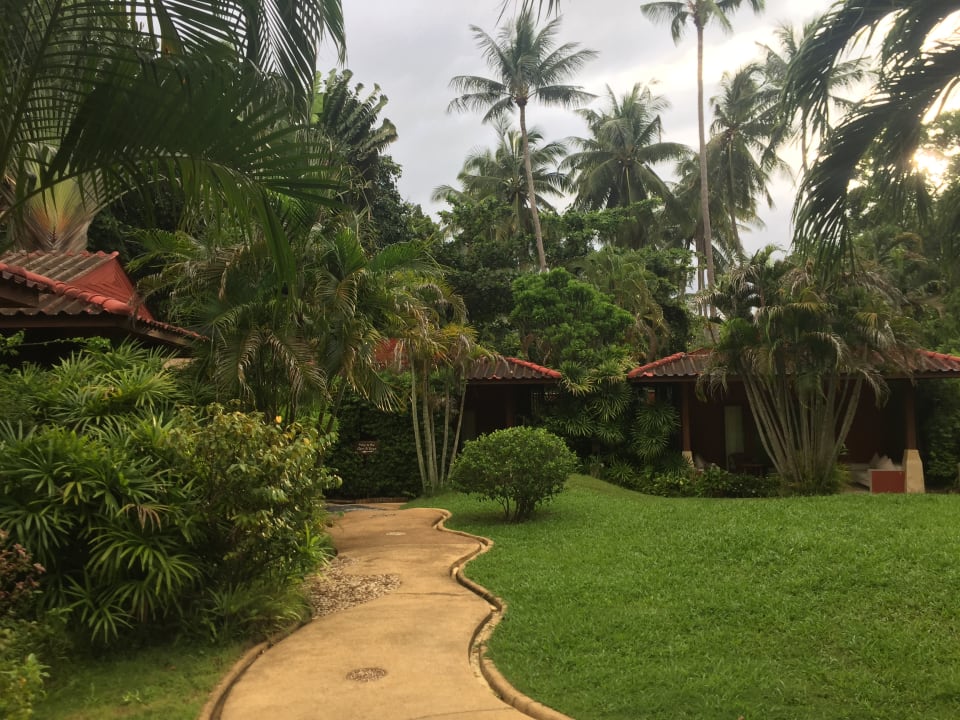 Gartenanlage Zazen Boutique Resort & Spa