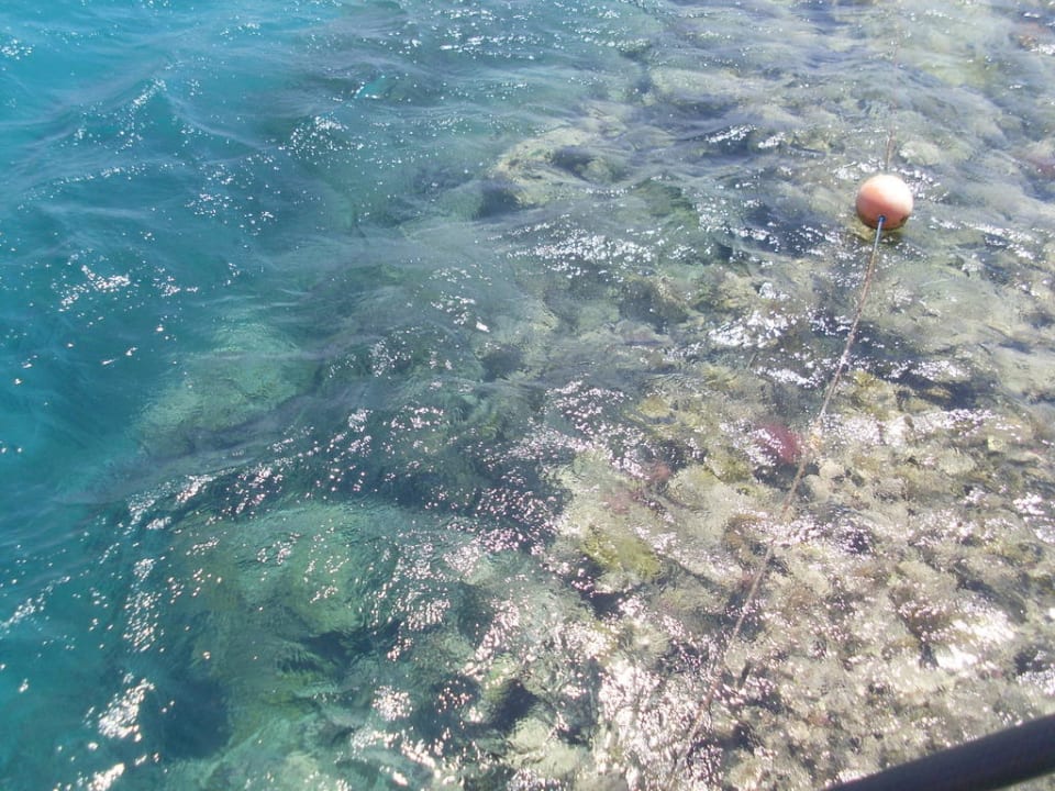 Riff am Steg Stella Beach Resort & Spa Makadi Bay