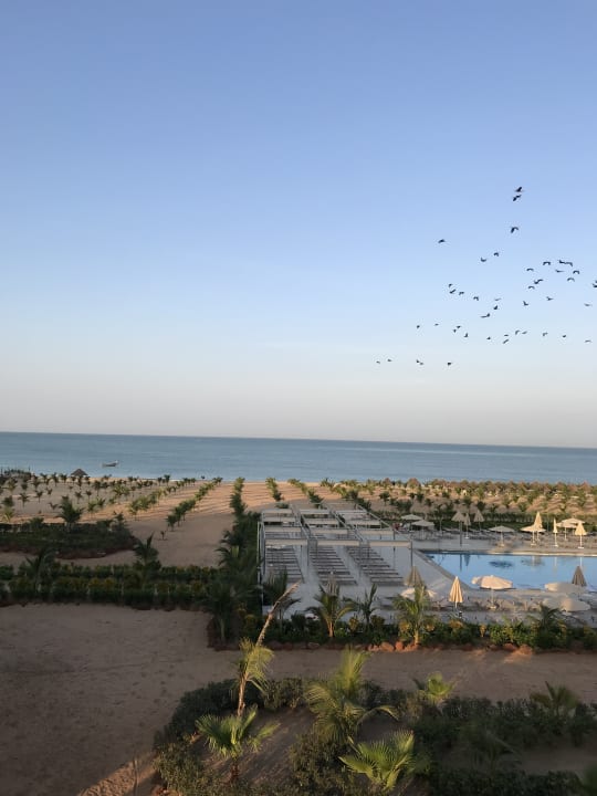 Ausblick Hotel Riu Baobab - All Inclusive
