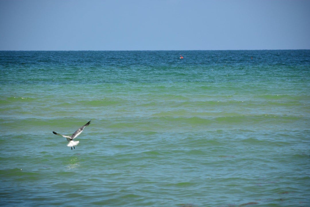 Möwe Diplomat Resort & Spa Hollywood, Curio Collection by Hilton