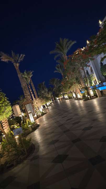 Gartenanlage The Grand Palace - Adults only