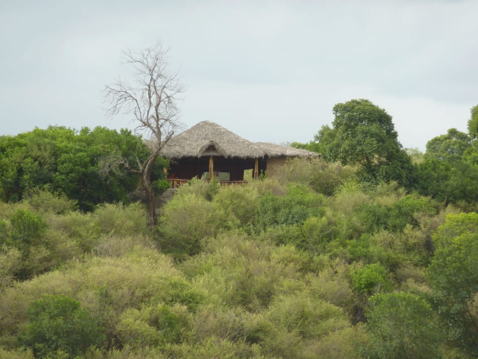 Das Camp vom Fluss aus Salt Springs Mara Camp