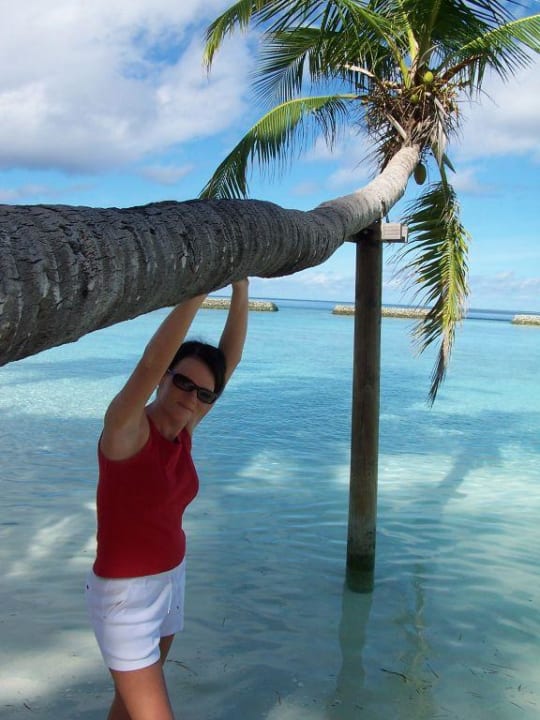 Foto-Palme Sun Siyam Vilu Reef