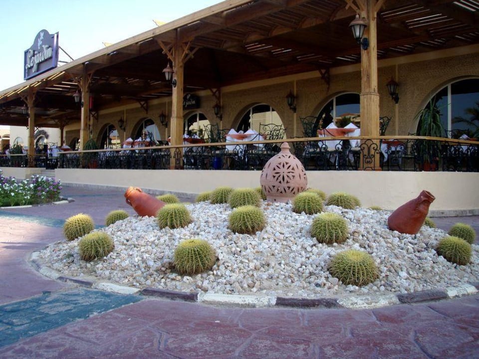 Restaurant Le Jardin Pickalbatros Dana Beach Resort - Hurghada