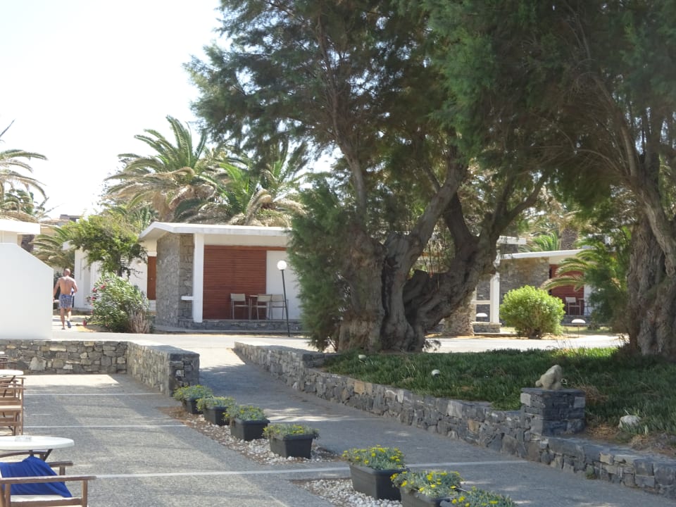 Gartenanlage Civitel Creta Beach