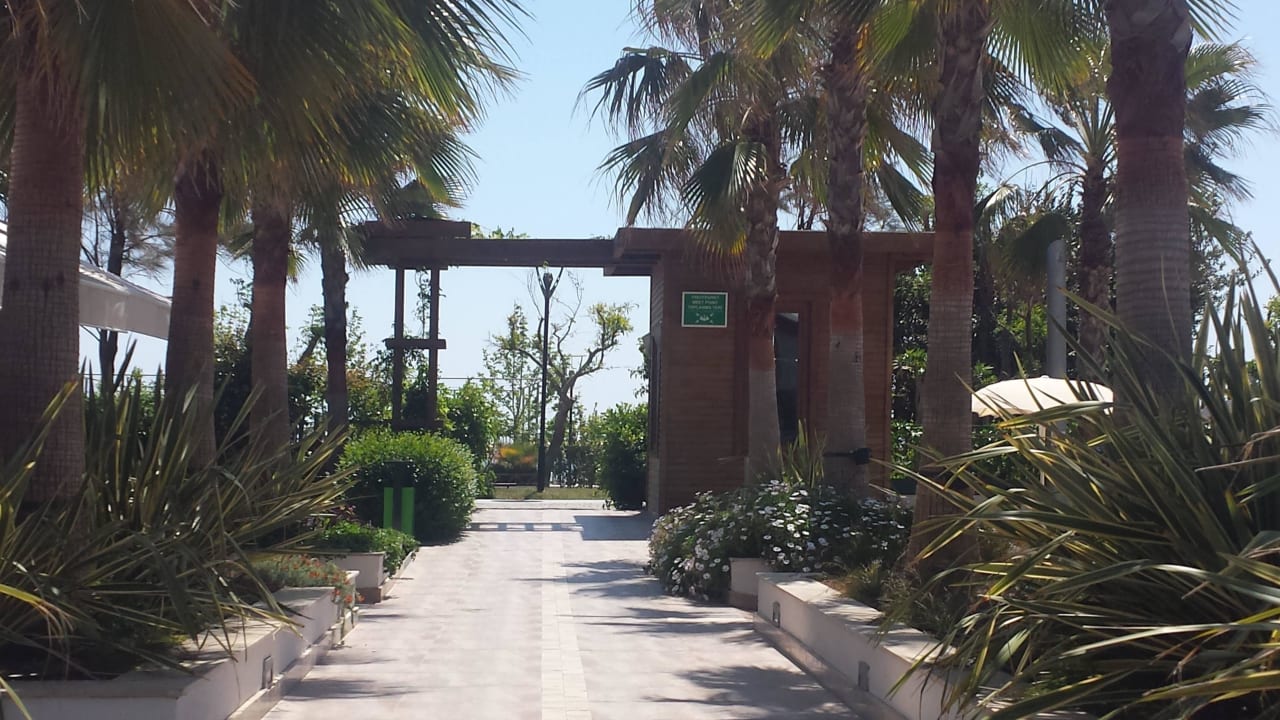 Weg zum Strand Sentido Trendy Verbena Beach