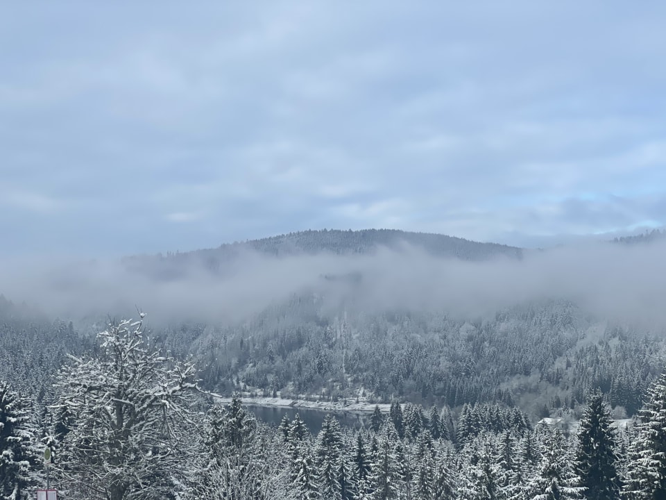 Ausblick Albtalblick Hotel - Restaurant