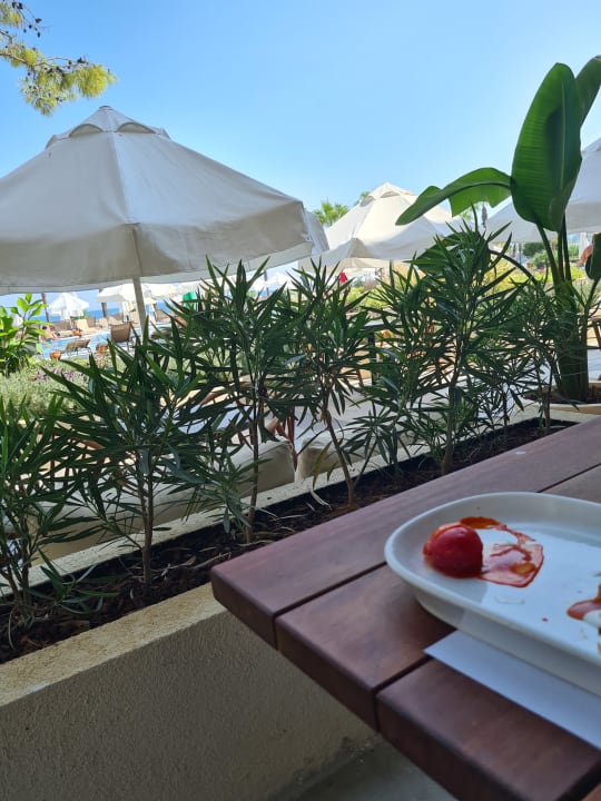 Gastro Sherwood Exclusive Kemer