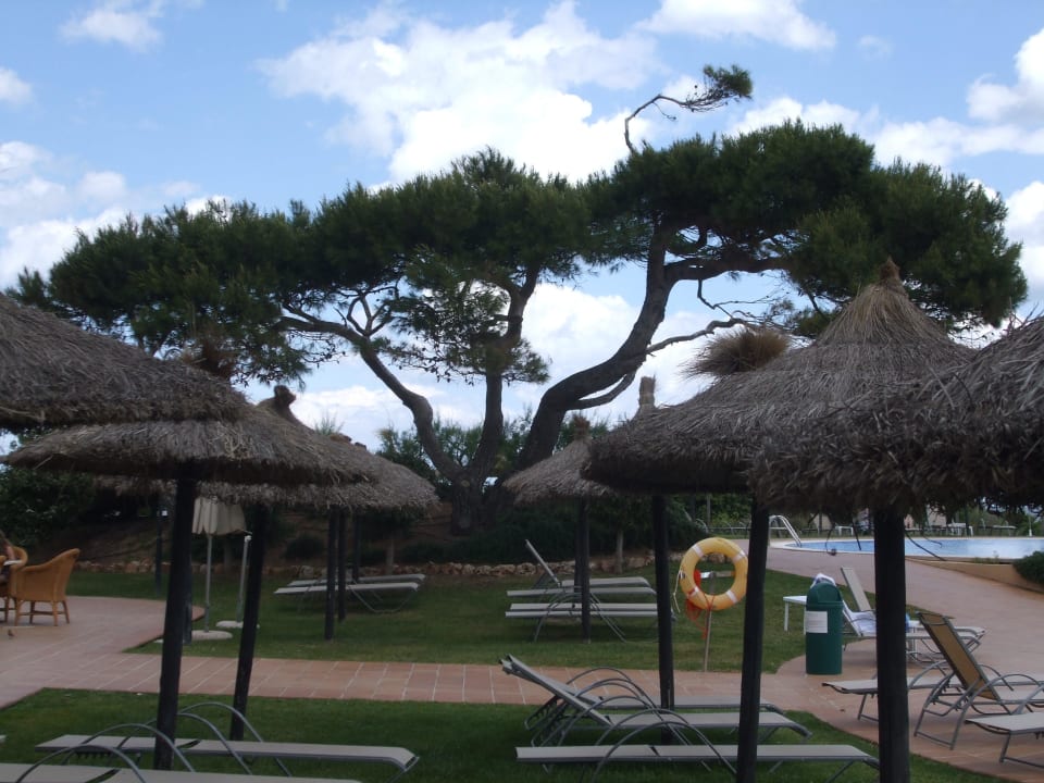 Blick Richtung Meer Grupotel Natura Playa