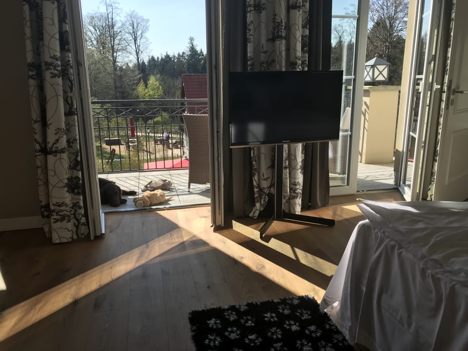 Zimmer Naturresort & Spa Schindelbruch