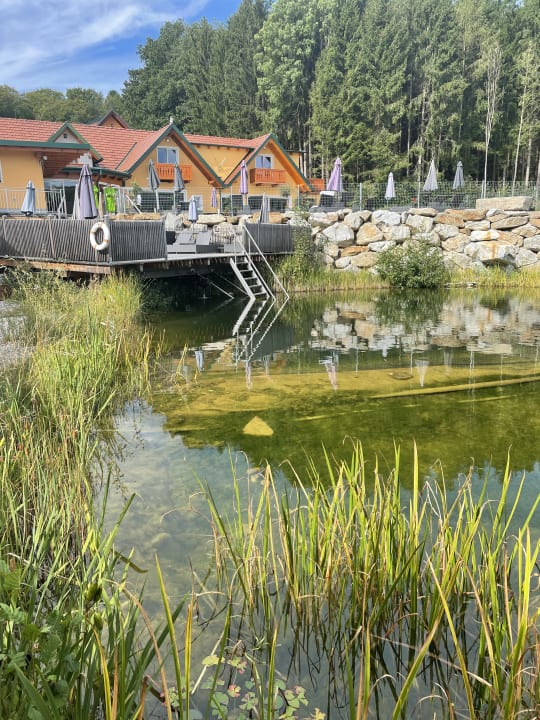 Außenansicht Zur Grünen Au