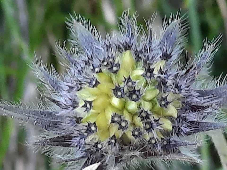 Sonstiges Cyprianerhof Dolomit Resort